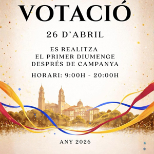 Votació elecció de la Presidència de la Junta Local Fallera d'Alzira